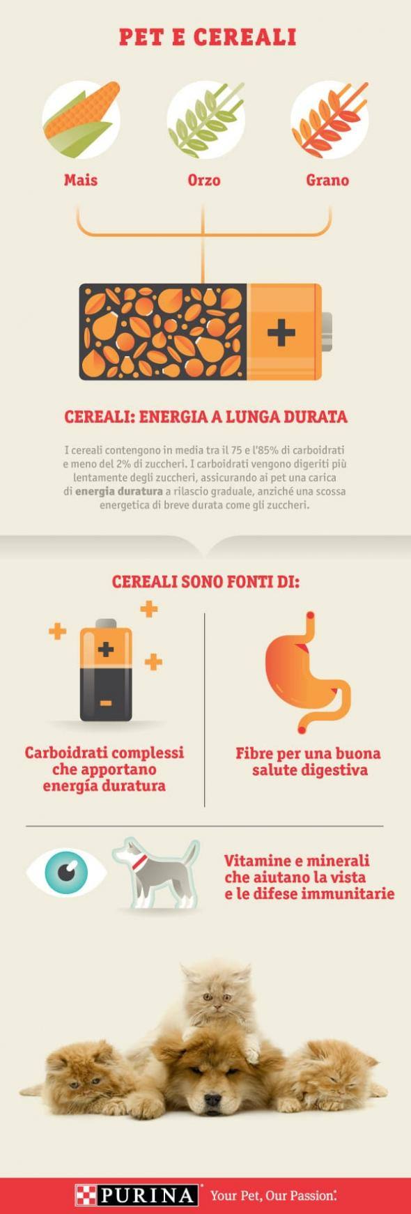 infografica grani