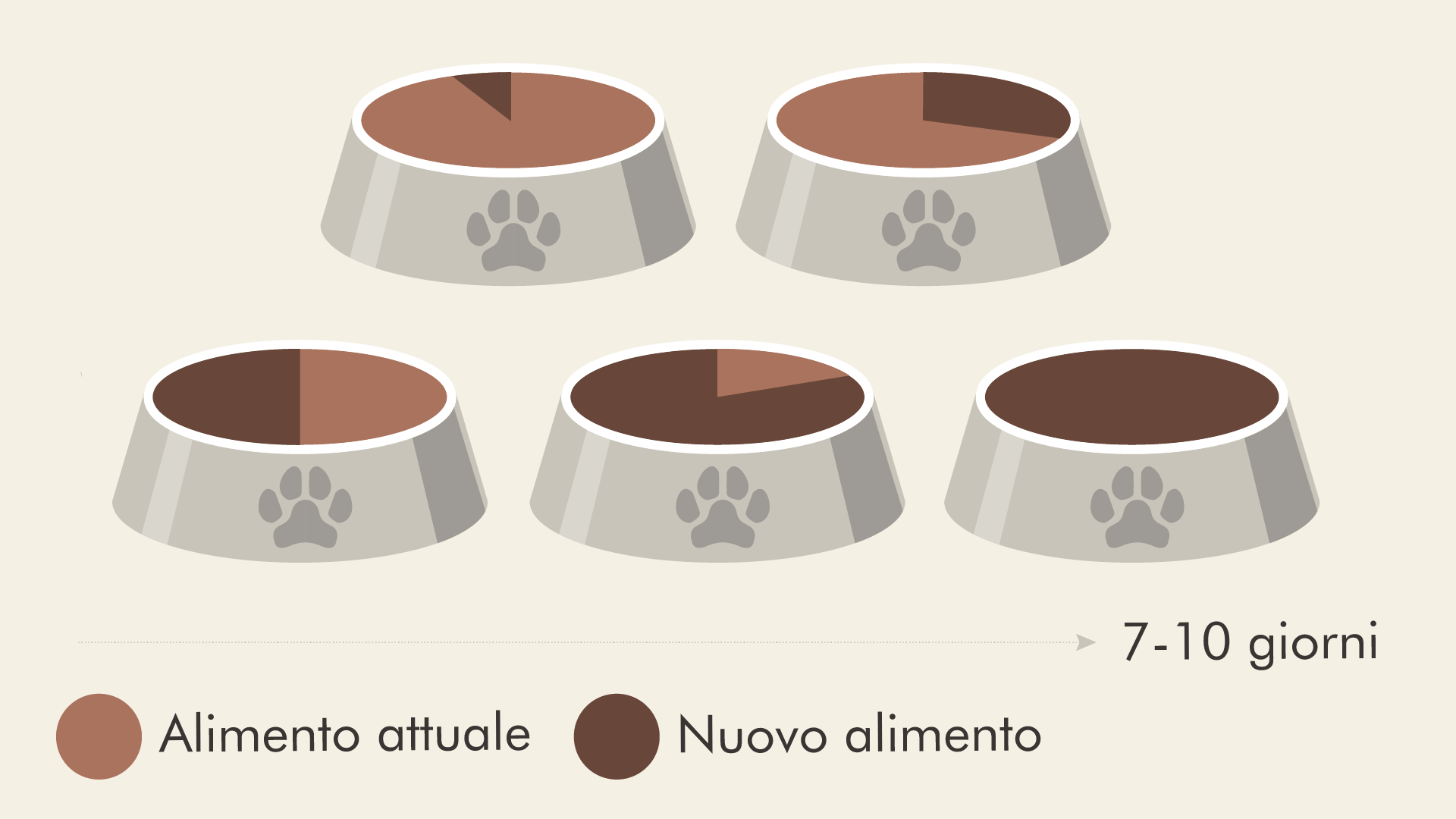 cibi di transizione