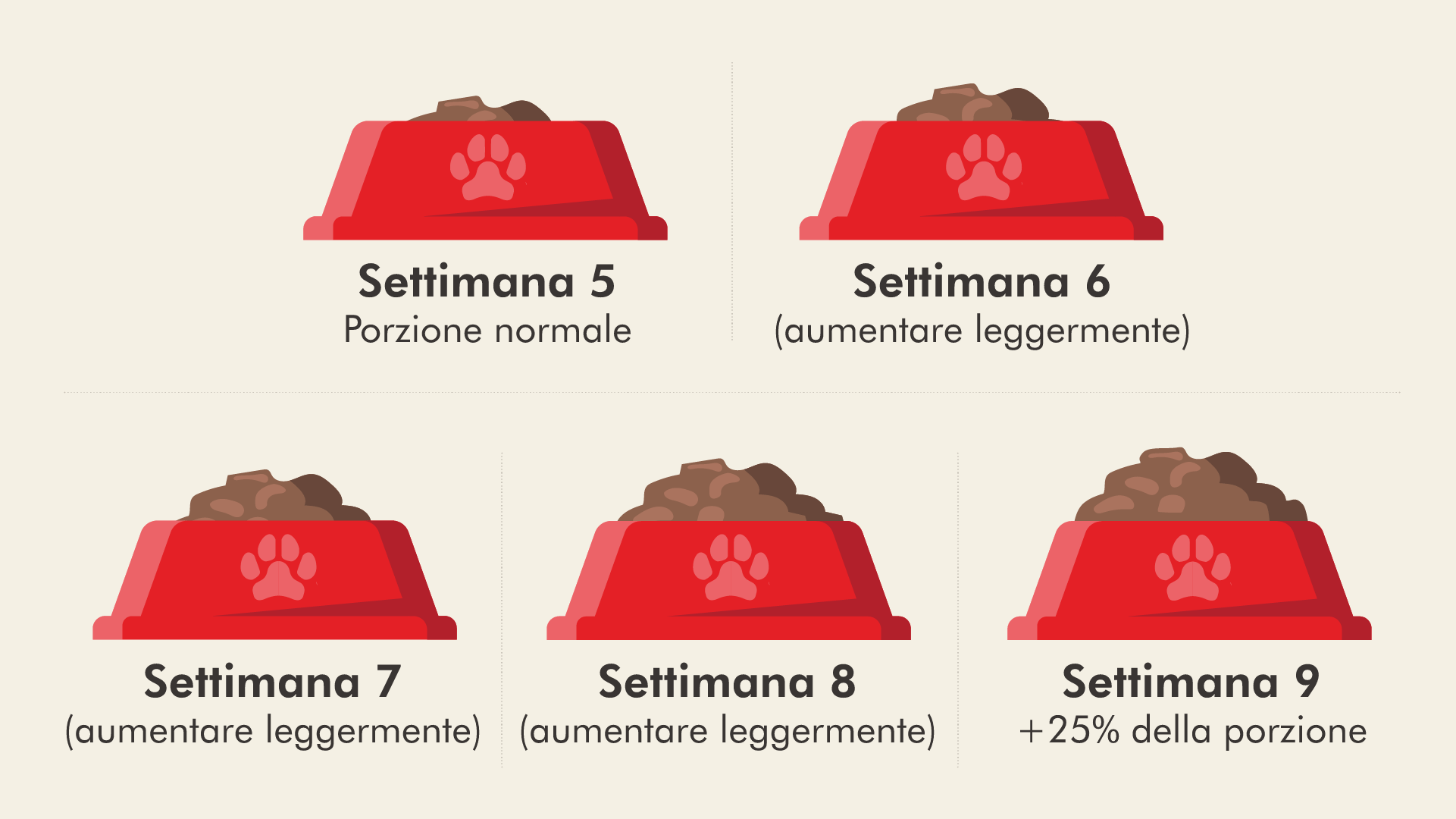 infografica nutrire una cagna incinta