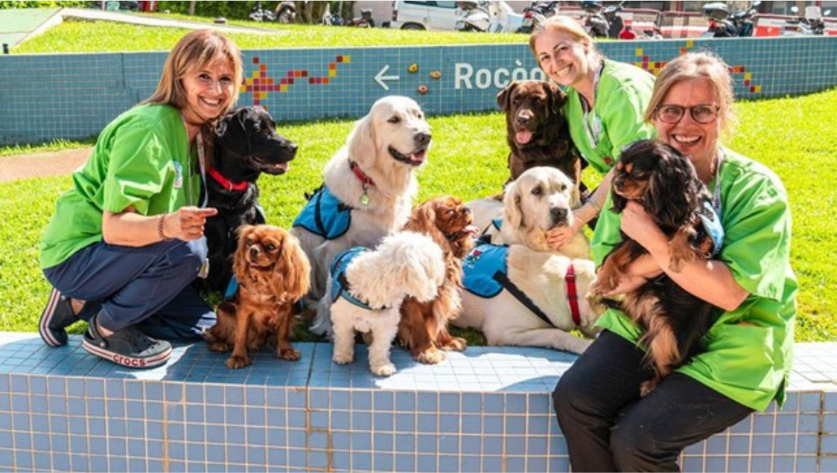 Secondo Premio - Center de Teràpies Assistides amb
