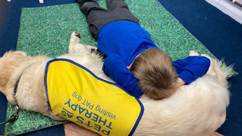 Primo Premio – Pets As Therapy