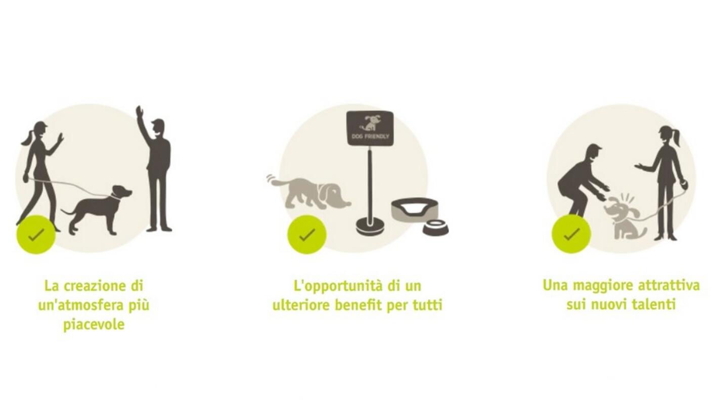 Animali domestici al lavoro infografica