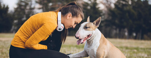 Imparare il rispetto il cane e il senso di responsabilita