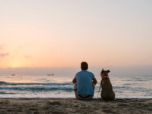 Purina si impegna a salvaguardare l'ambiente con il riciclo!