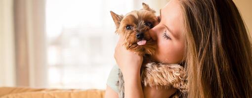 ragazza che coccola il suo cucciolo di yorkie