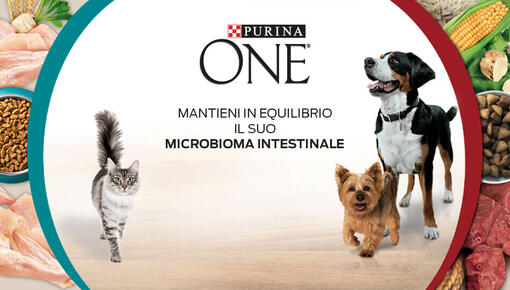 Purina one