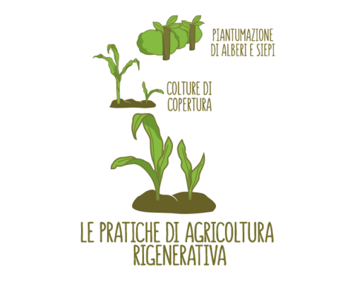 Le pratiche di agricoltura rigenerativa