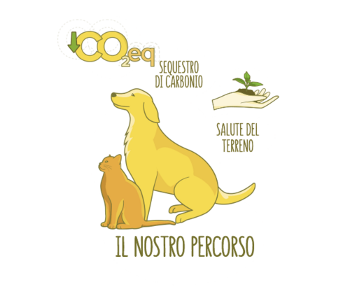 Il percorso di Friskies