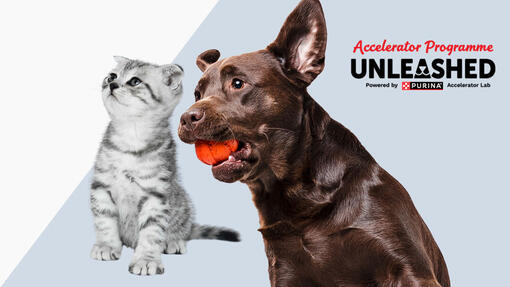 Purina Unleashed, al via la sesta edizione