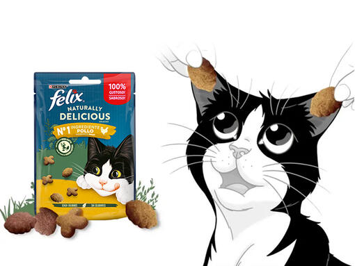 Varietà di Felix Snack