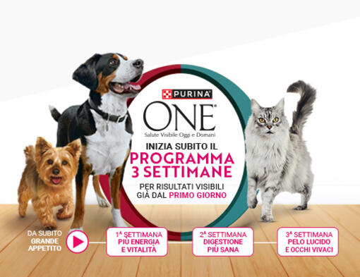 Purina One programma 3 settimane