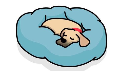 11 posizioni di sonno dei cani: cosa significano?